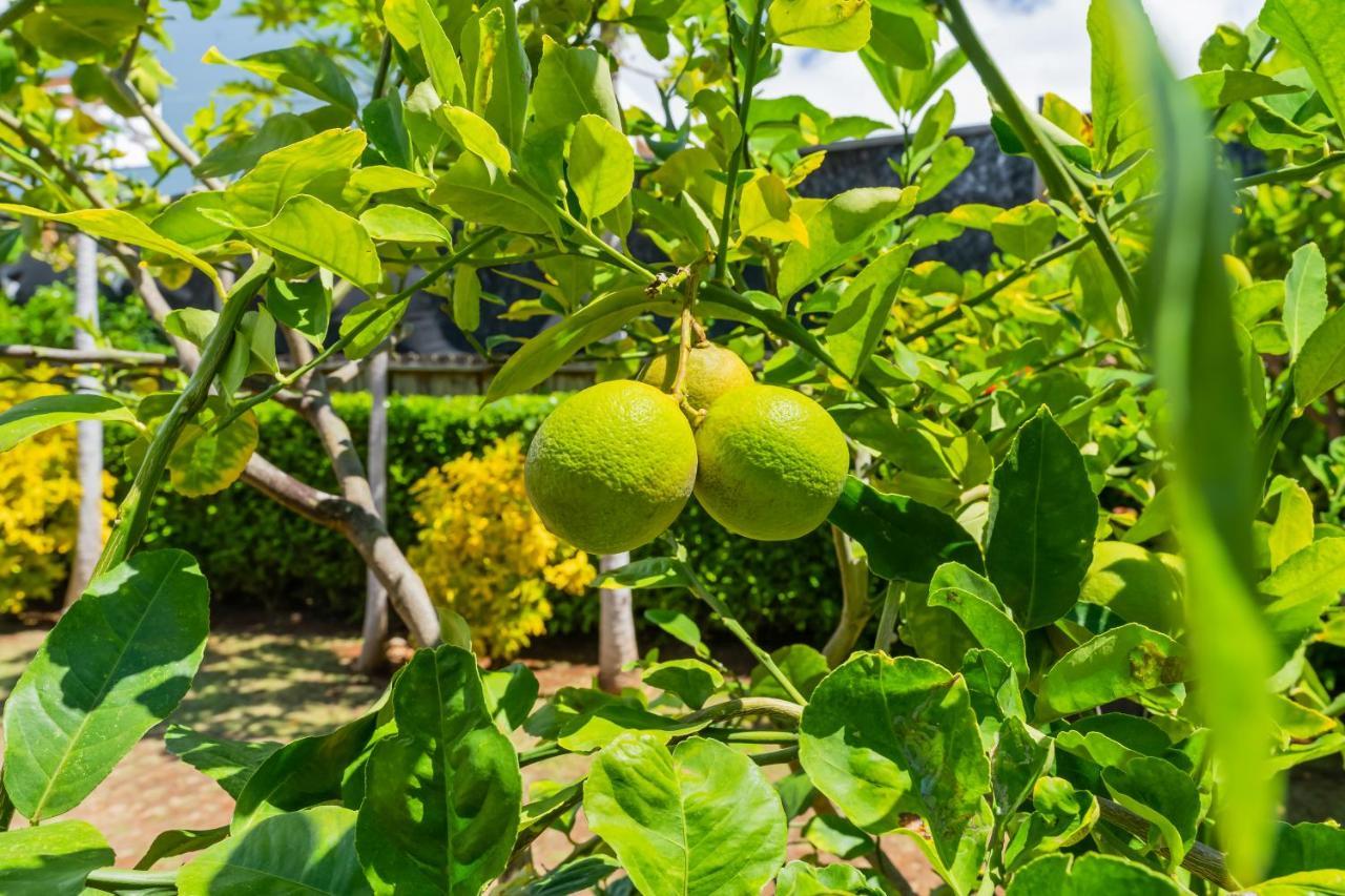 1730 Kaleka 4 Bed Poipu House, Guest House Walk To Beach Koloa Екстер'єр фото